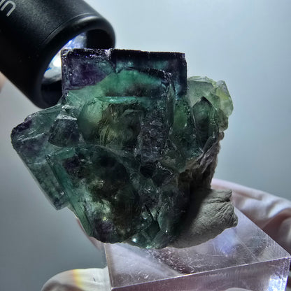 Cube de fluorite fantôme à degrés, tessellé, vert violet Okorusu, Namibie 43*35*22mm #12213 