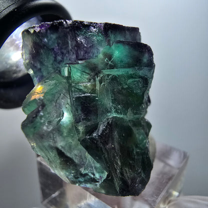 Cube de fluorite fantôme à degrés, tessellé, vert violet Okorusu, Namibie 43*35*22mm #12213 