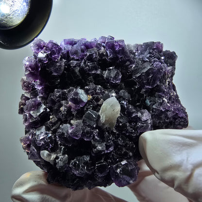 Seltene Phantom Fluorit Würfel, Quarz Stufe, lila Okorusu, Namibia 70*57*47mm #12223