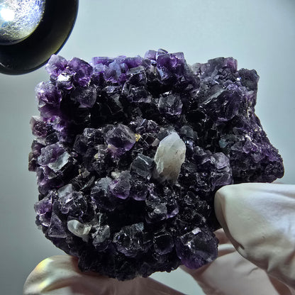 Seltene Phantom Fluorit Würfel, Quarz Stufe, lila Okorusu, Namibia 70*57*47mm #12223