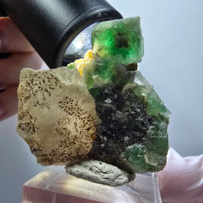 Spécimen rare de fluorite fantôme, muscovite et quartz fumé, Erongo, Namibie, 44*39*14 mm #12256 
