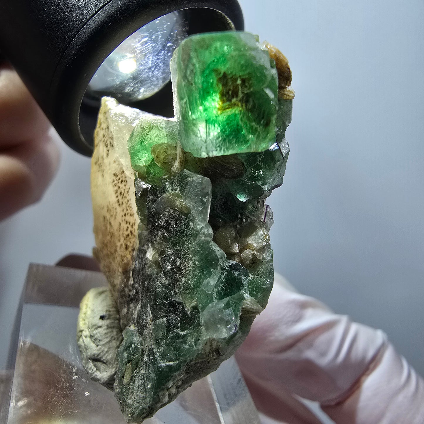 Spécimen rare de fluorite fantôme, muscovite et quartz fumé, Erongo, Namibie, 44*39*14 mm #12256 