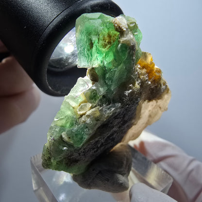 Spécimen rare de fluorite fantôme, muscovite et quartz fumé, Erongo, Namibie, 44*39*14 mm #12256 
