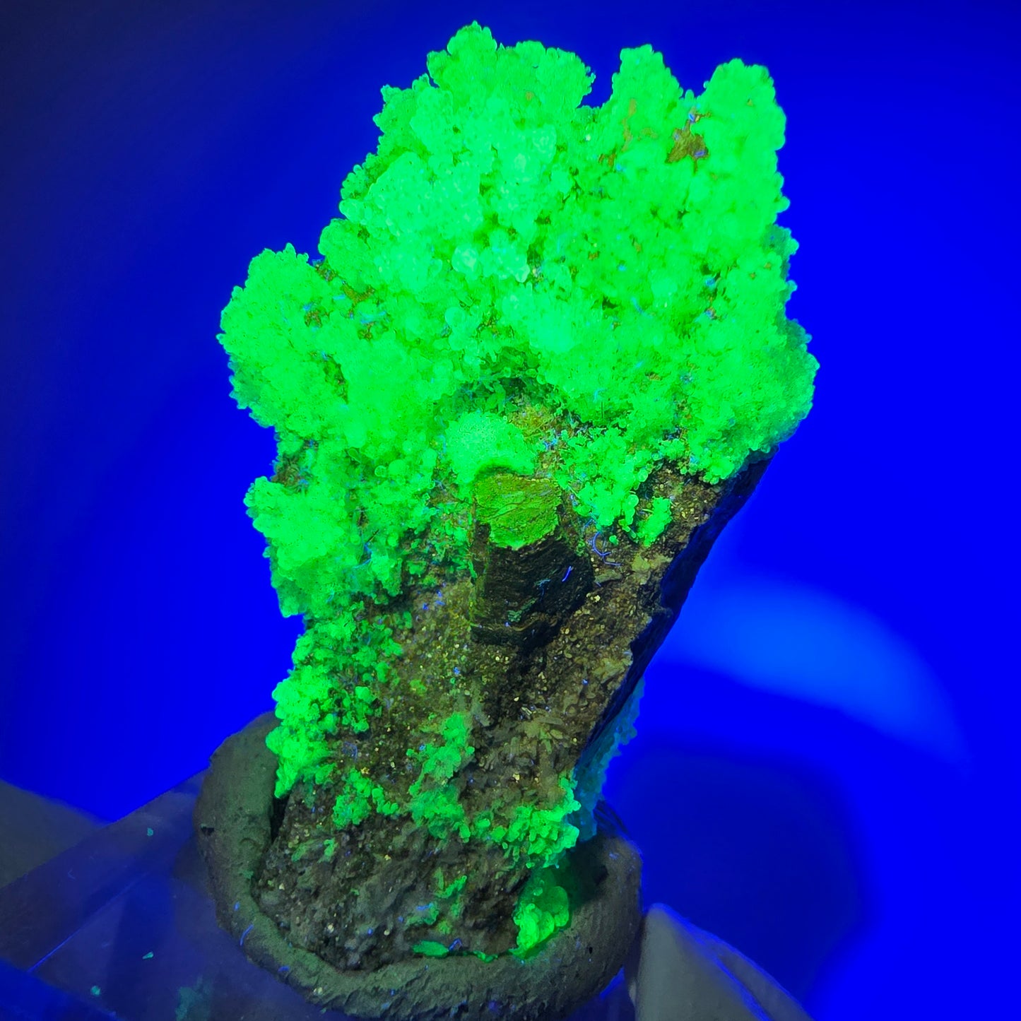 Hyalite opal, Schörl tourmaline, muscovite, orthoclase Erongo, Namibia 46*32*21mm #12268 