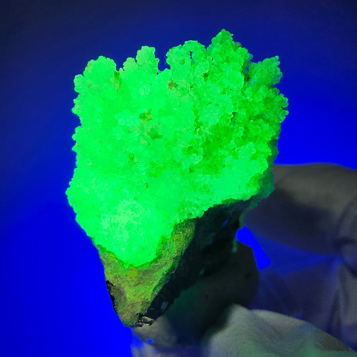 Hyalite opal, Schörl tourmaline, muscovite, orthoclase Erongo, Namibia 46*32*21mm #12268 