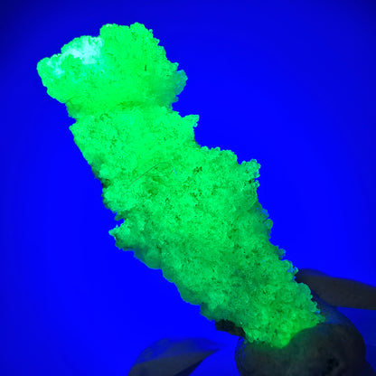 Opale hyalite rare, spécimen de muscovite (minéral UV) Erongo, Namibie 49*20*16mm #12269 