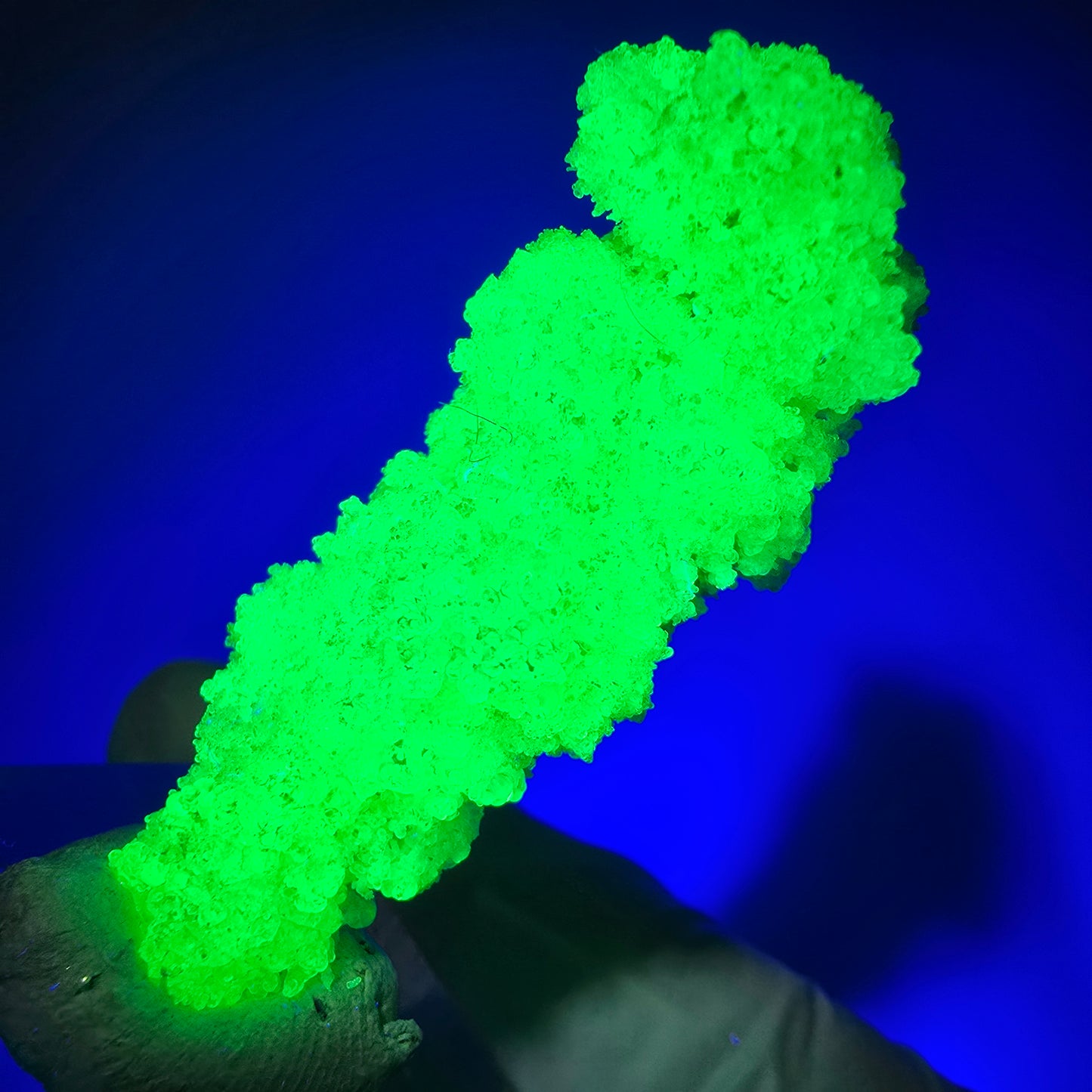 Opale hyalite rare, spécimen de muscovite (minéral UV) Erongo, Namibie 49*20*16mm #12269 