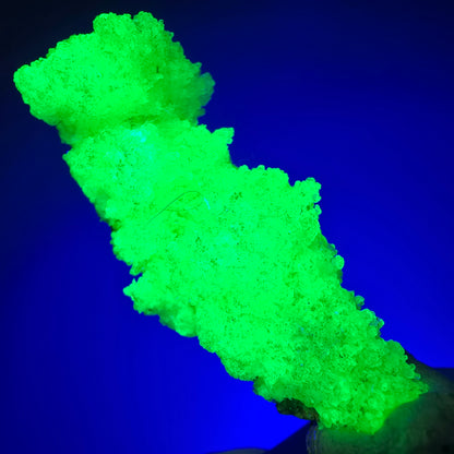 Opale hyalite rare, spécimen de muscovite (minéral UV) Erongo, Namibie 49*20*16mm #12269 