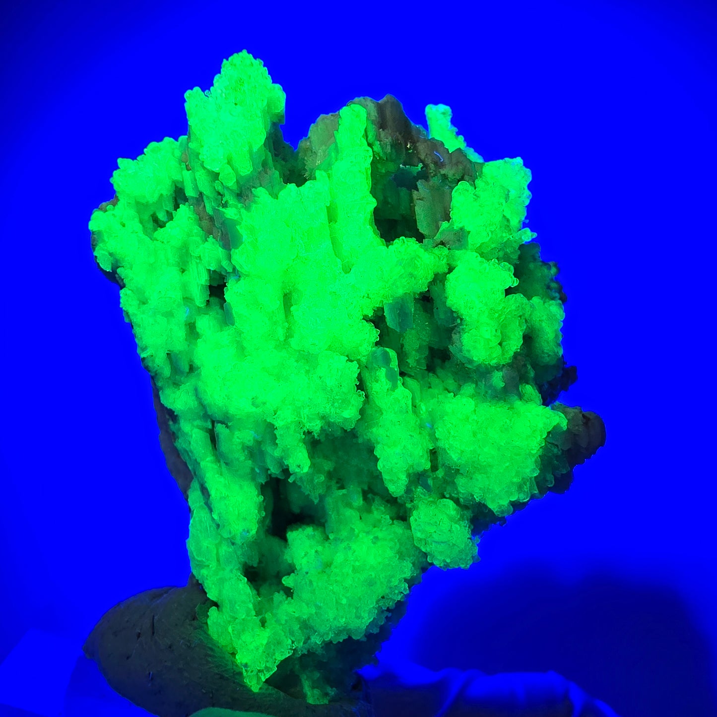 Rare Hyalite Opal, Muscovite, Orthoclase Specimen (UV Mineral) Erongo, Namibia 45*40*28mm #12278 