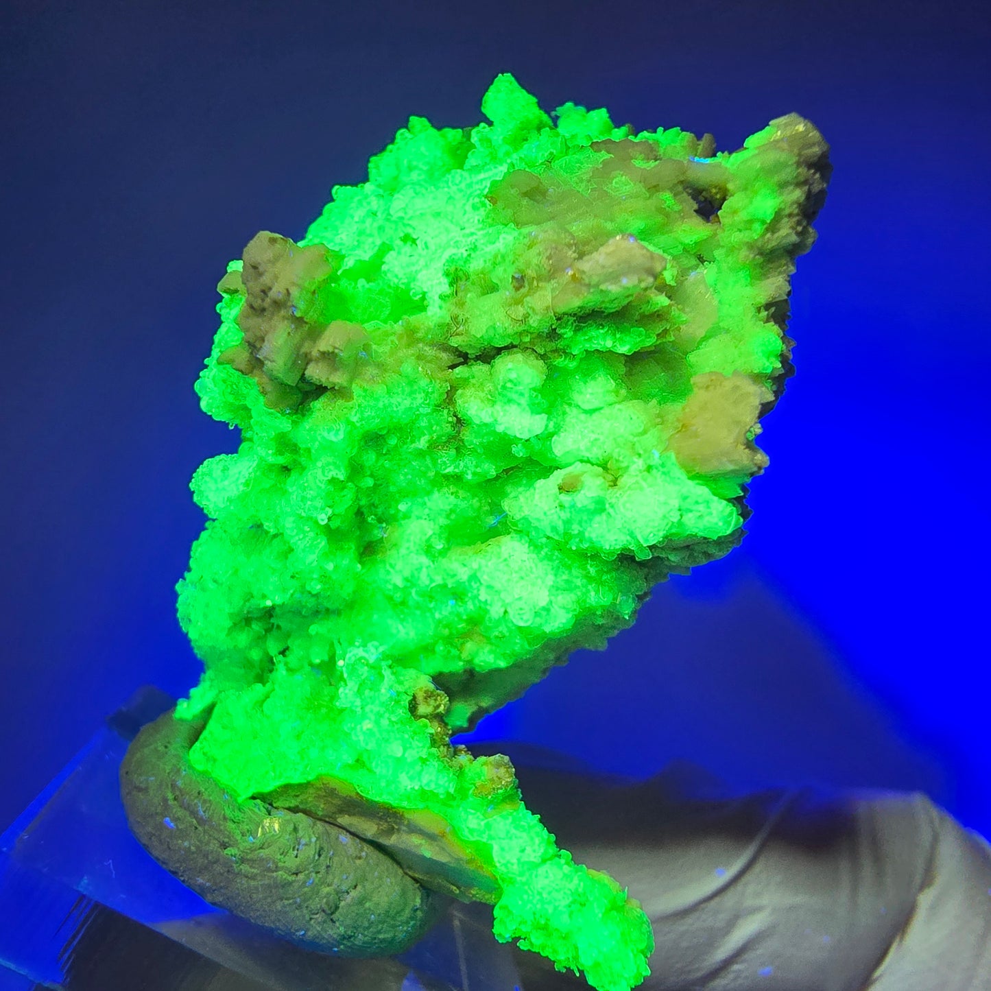 Rare Hyalite Opal, Muscovite, Orthoclase Specimen (UV Mineral) Erongo, Namibia 45*40*28mm #12278 