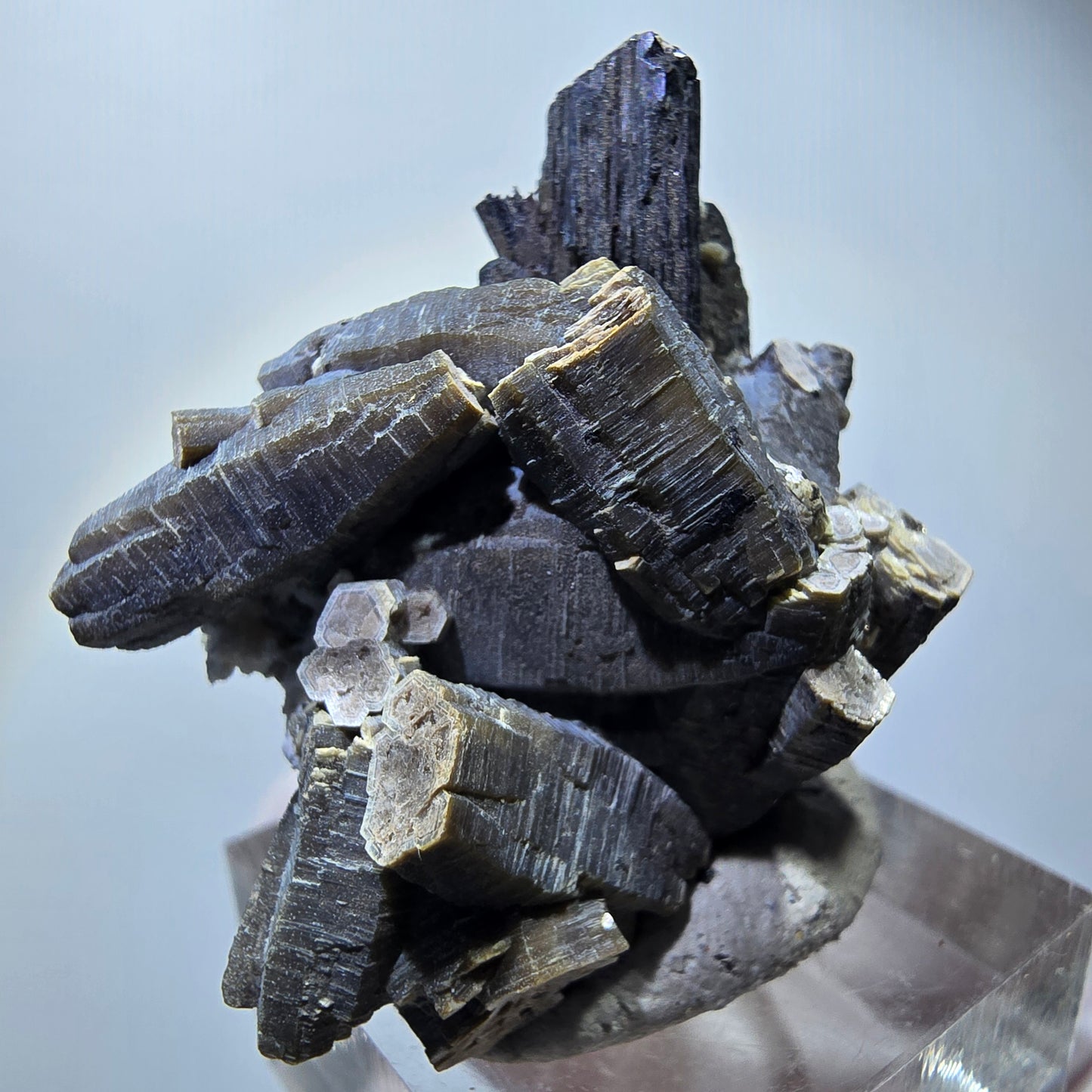 Spécimen rare de tourmaline schorl, muscovite et orthoclase, Erongo, Namibie, 40*35*22 mm #12281 