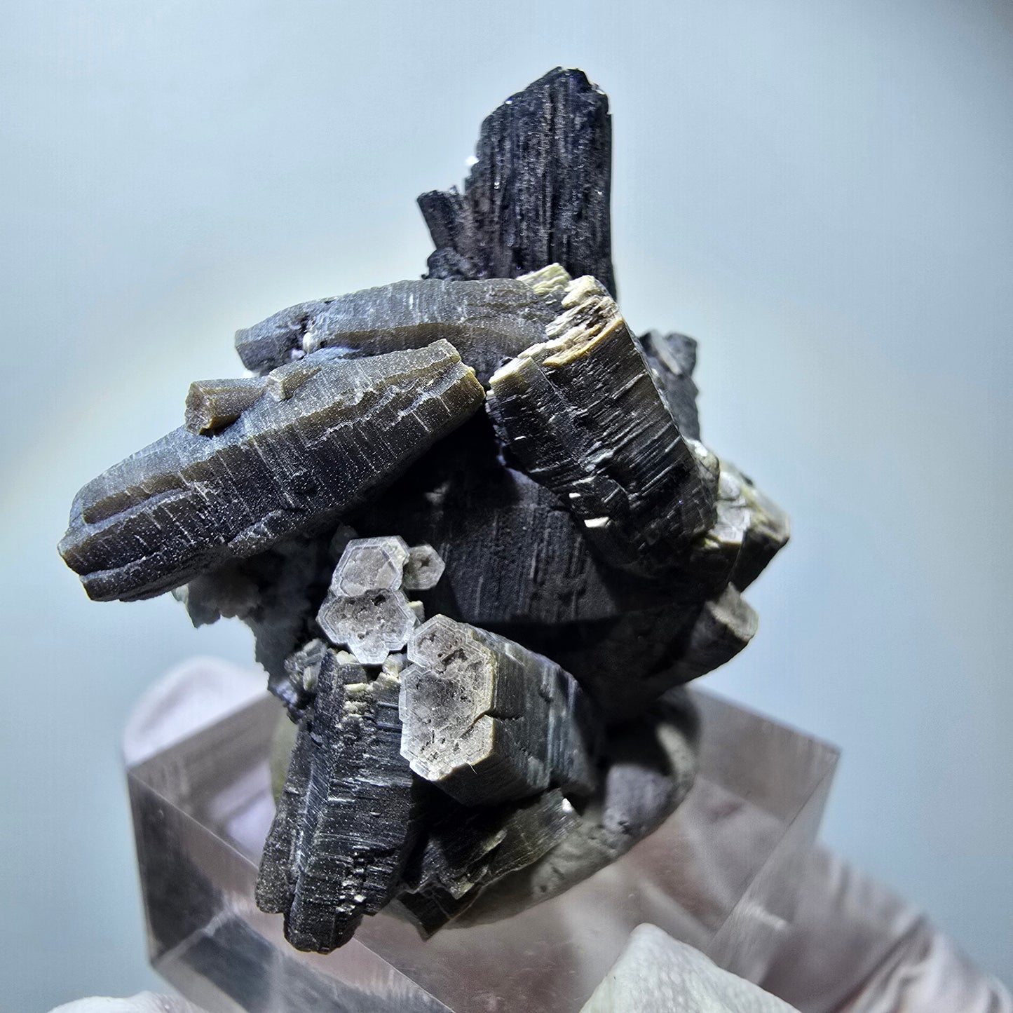 Spécimen rare de tourmaline schorl, muscovite et orthoclase, Erongo, Namibie, 40*35*22 mm #12281 