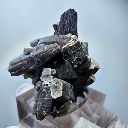 Spécimen rare de tourmaline schorl, muscovite et orthoclase, Erongo, Namibie, 40*35*22 mm #12281 
