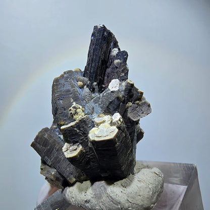 Spécimen rare de tourmaline schorl, muscovite et orthoclase, Erongo, Namibie, 40*35*22 mm #12281 