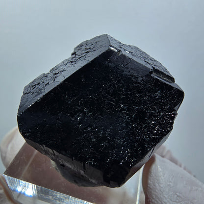 Rare cristal de tourmaline schorl symétrique, Erongo, Namibie, 31*31*22 mm #12283 