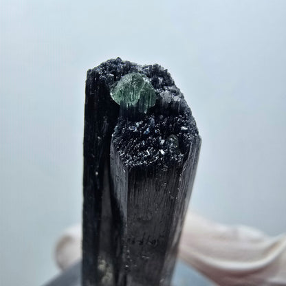 Spécimen rare de tourmaline schorl et de fluorite, Erongo, Namibie, 40 x 13 x 10 mm, n° 12285 