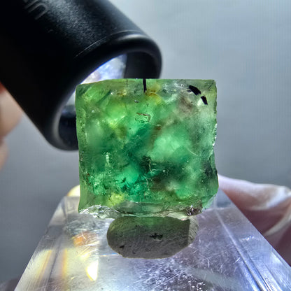 Lot of 4 Phantom Fluorite Cubes, green-purple, Okorusu, Namibia, 13-18mm #12297 