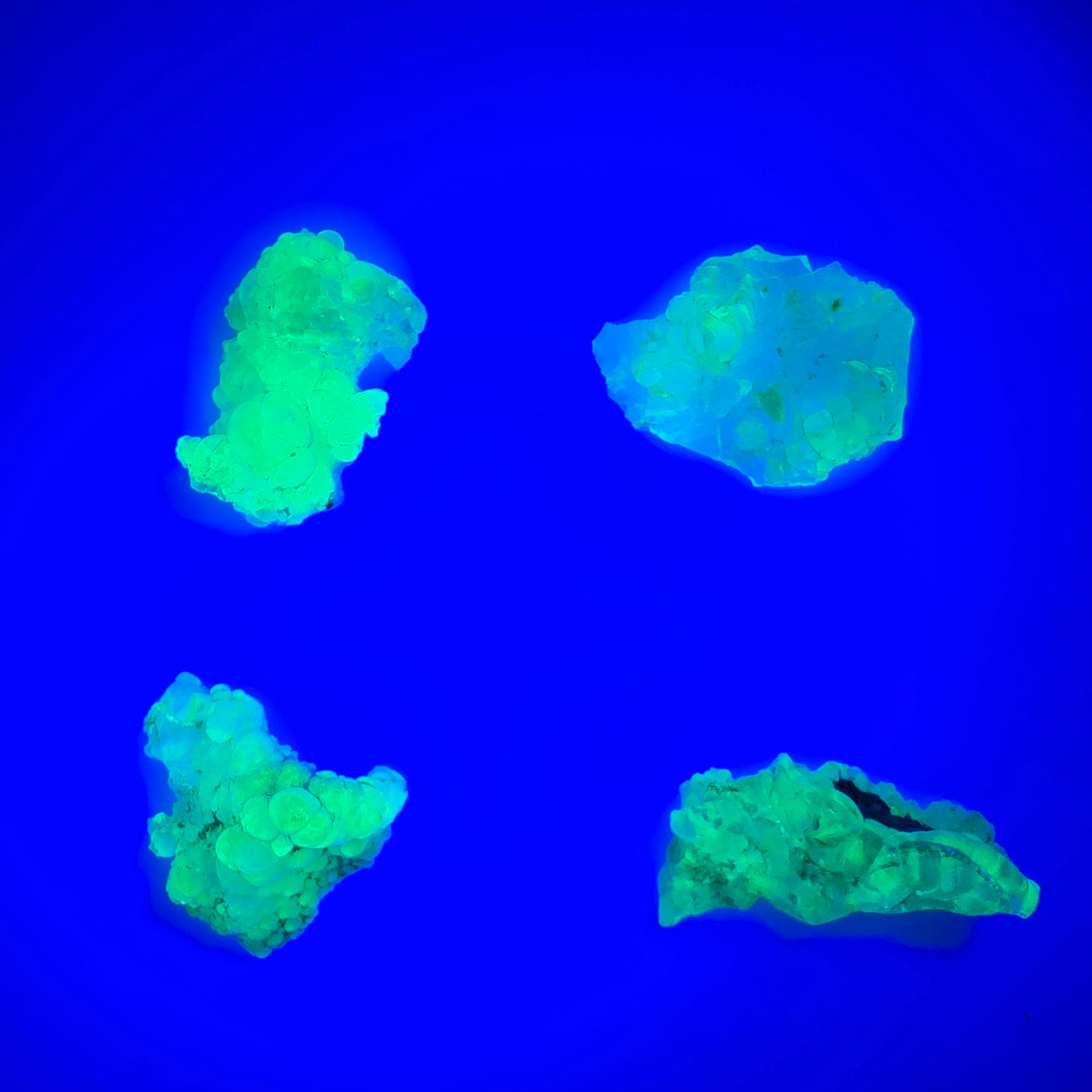 4er Lot Hyalit Opal Stufen (UV Mineral) Erongo, Namibia 14-19mm #12302