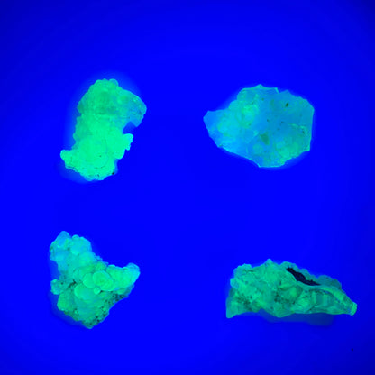 4er Lot Hyalit Opal Stufen (UV Mineral) Erongo, Namibia 14-19mm #12302