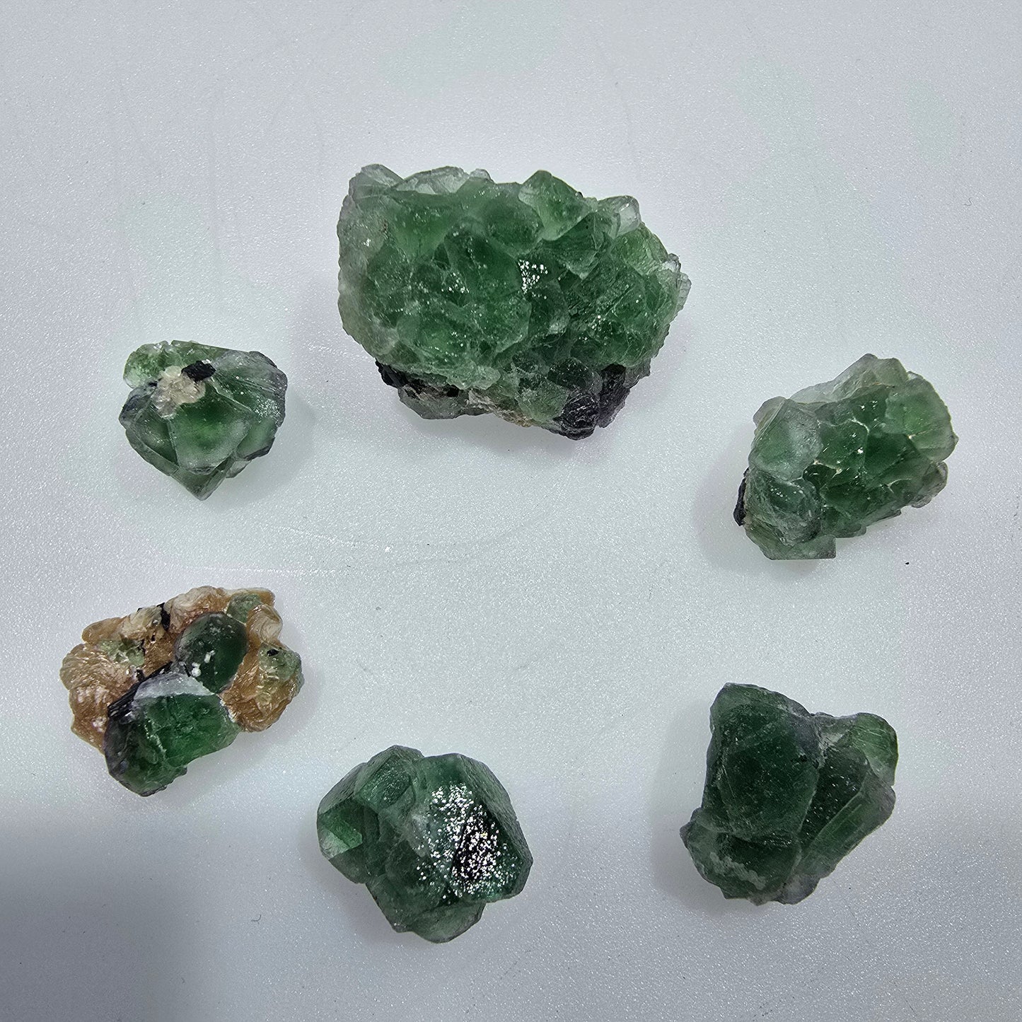 Lot of 6 Phantom Fluorite, Muscovite, Schörl Tourmaline Erongo, Namibia 13-29mm #12304 