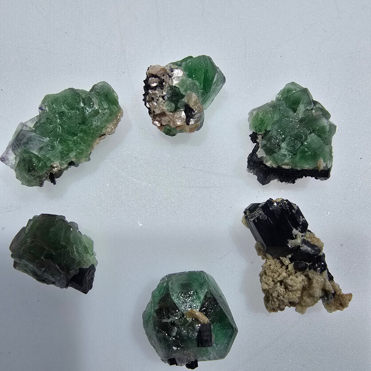 Lot of 6 Phantom Fluorite, Muscovite, Schörl Tourmaline Erongo, Namibia 16-24mm #12311 