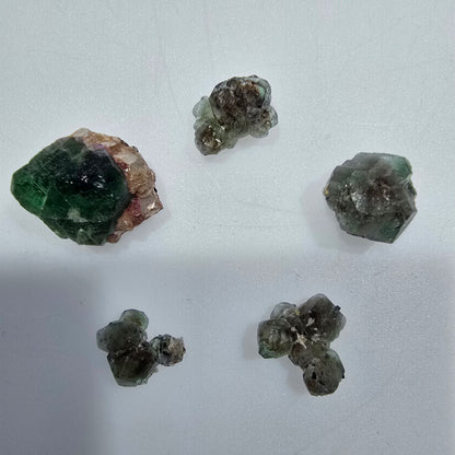 Lot of 6 Phantom Fluorite, Muscovite, Schörl Tourmaline Erongo, Namibia 13-21mm #12314 