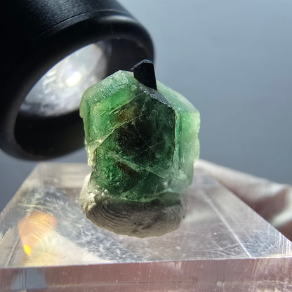 Phantom fluorite, hexagonal, Schörl tourmaline stage Erongo, Namibia 14*13*11mm #12329 