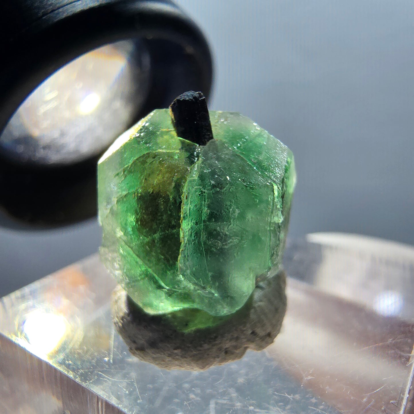 Phantom fluorite, hexagonal, Schörl tourmaline stage Erongo, Namibia 14*13*11mm #12329 