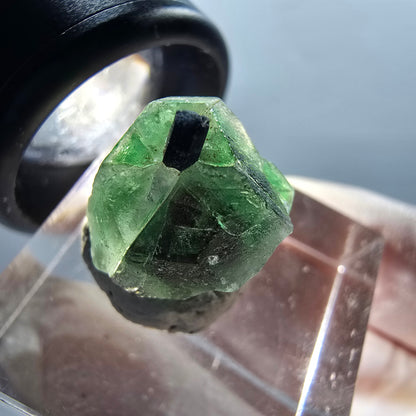 Phantom fluorite, hexagonal, Schörl tourmaline stage Erongo, Namibia 14*13*11mm #12329 