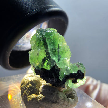 Rare phantom fluorite, schorl tourmaline specimen Erongo, Namibia 16*12*9mm #12330 