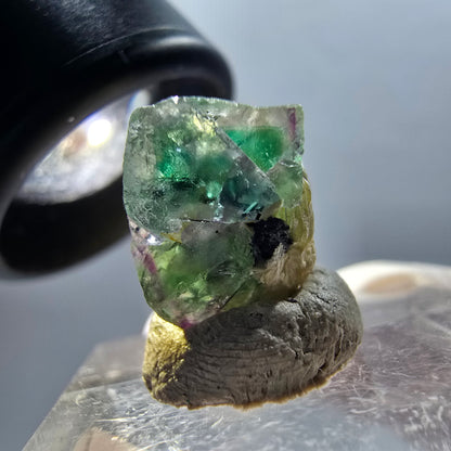 Fluorite fantôme, Tourmaline Schörl, Stade muscovite Erongo, Namibie 13*12*11mm #12333 