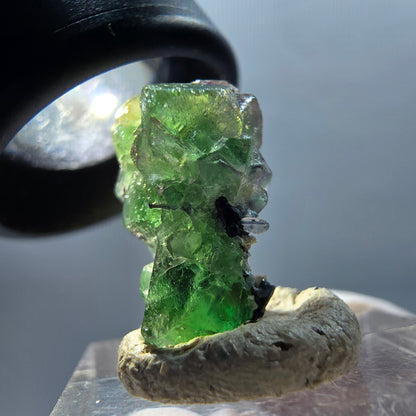 Phantom Fluorite, Schorl Tourmaline, Muscovite Specimen Erongo, Namibia 18*12*9mm #12334 