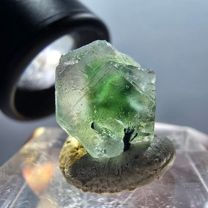 Fluorite fantôme, Tourmaline Schörl, Stade muscovite Erongo, Namibie 15*14*11mm #12335 
