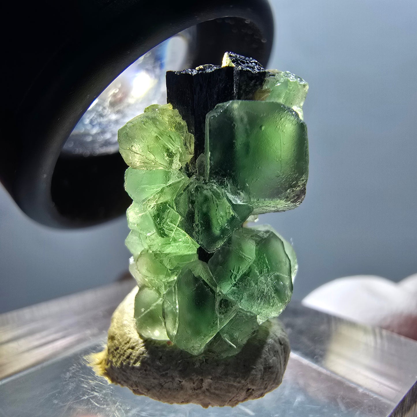 Fluorite fantôme, Tourmaline Schörl, Stade muscovite Erongo, Namibie 19*12*11mm #12336 