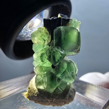 Fluorite fantôme, Tourmaline Schörl, Stade muscovite Erongo, Namibie 19*12*11mm #12336 