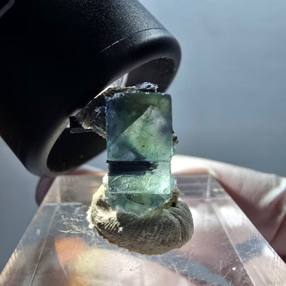 Fluorite fantôme, Tourmaline Schörl, Stade muscovite Erongo, Namibie 15*10*12mm #12338 