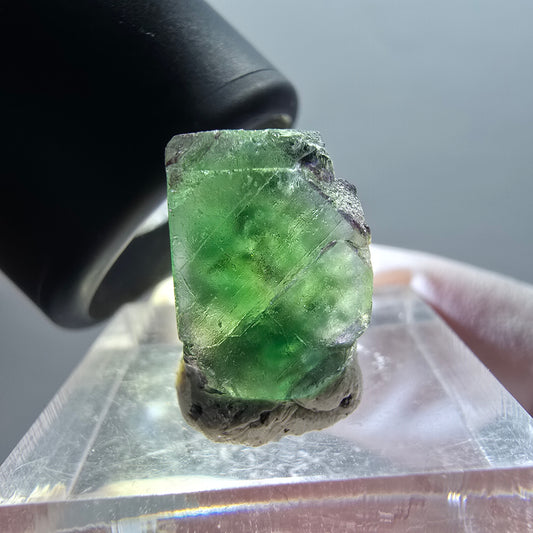 Seltener Phantom Fluorit Würfel Kristall, grün lila Erongo, Namibia 16*11*9mm #12342