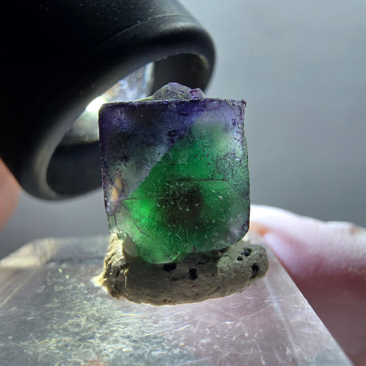 Phantom Fluorit, Schörl Turmalin, Muskovit Stufe Erongo, Namibia 18*15*11mm #12343