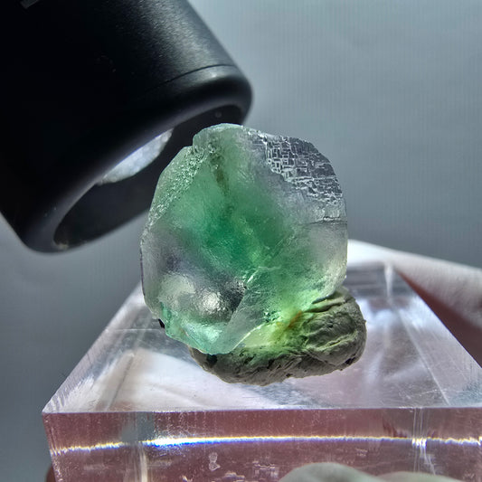 Seltene Phantom Fluorit, Muskovit Stufe Erongo, Namibia 15*13*12mm #12344