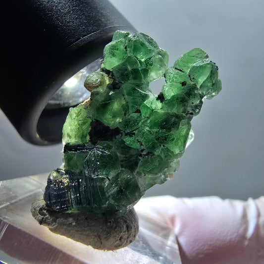 Phantom Fluorit, Schörl Turmalin, Muskovit Stufe Erongo, Namibia 31*17*11mm #12347