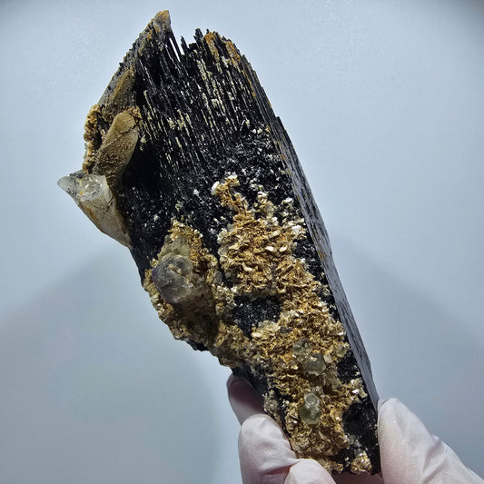 Large Schorl Tourmaline, Fluorite, Smoky Quartz, Muscovite Specimen Erongo, Namibia 113*51*50mm #12351