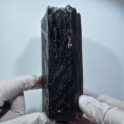 XL Schorl Tourmaline Crystal with Fluorite, Muscovite Erongo, Namibia 127*50*46mm #12352