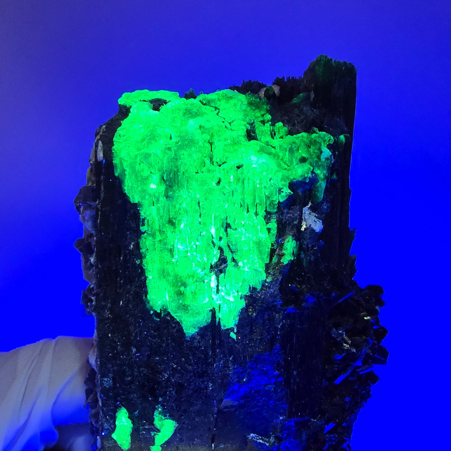 XL Schörl Turmalin mit Phantom Fluorit, Hyalit Opal, Muskovit Erongo, Namibia 130*62*54mm #12356