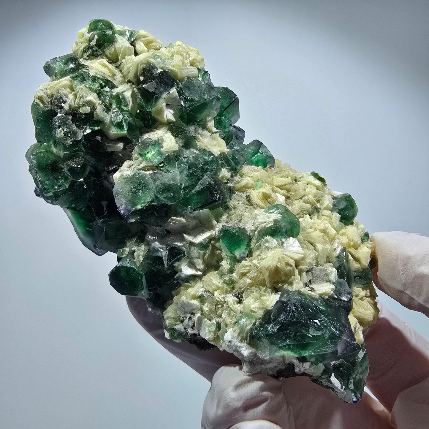 Grande fluorine fantôme, tourmaline schorl, muscovite Erongo, Namibie 98*55*55mm #12361