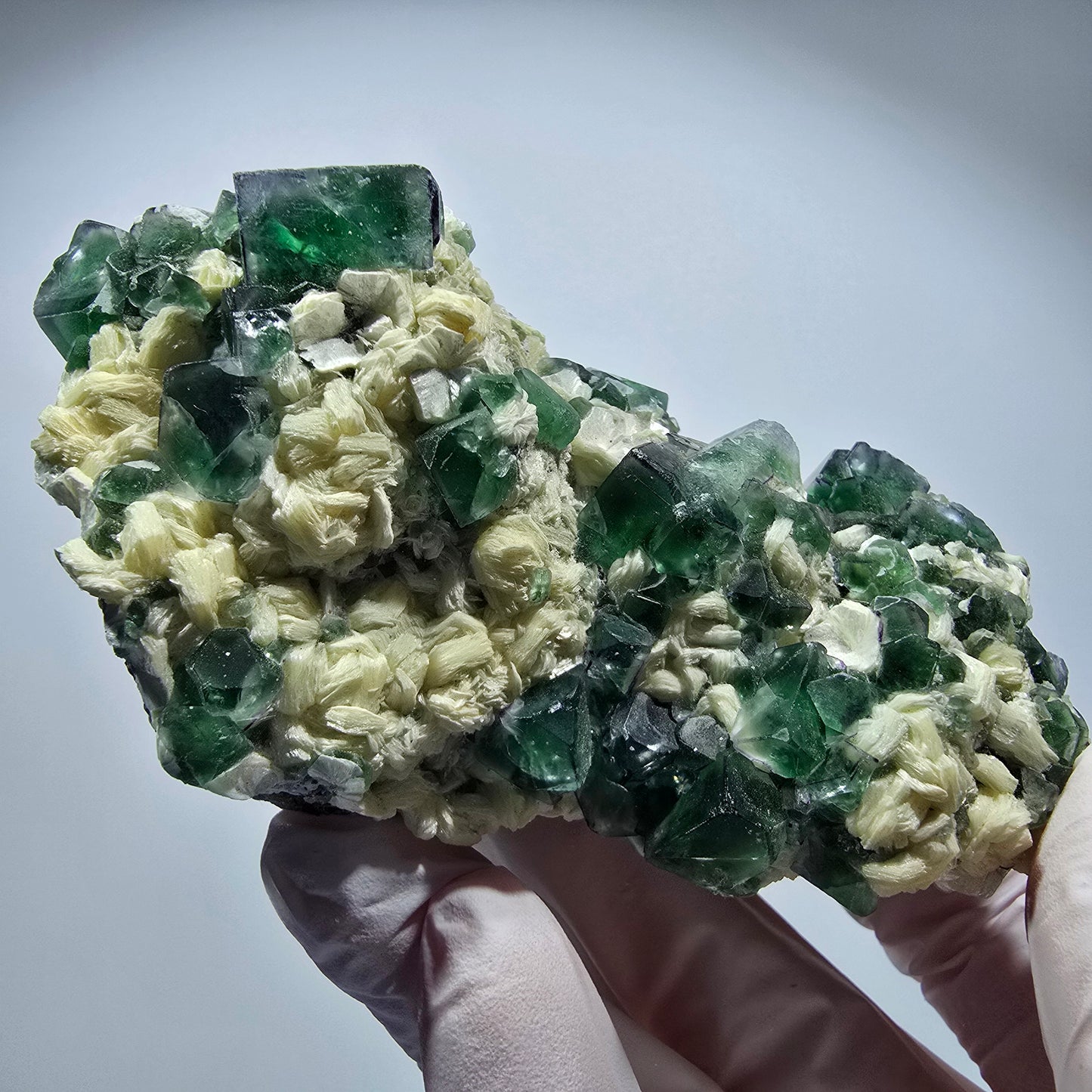 Grande fluorine fantôme, tourmaline schorl, muscovite Erongo, Namibie 98*55*55mm #12361