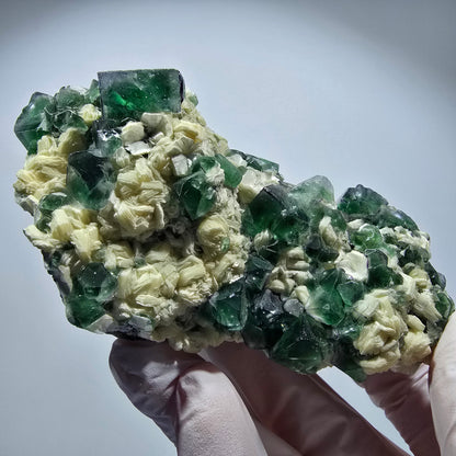 Grande fluorine fantôme, tourmaline schorl, muscovite Erongo, Namibie 98*55*55mm #12361