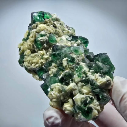Grande fluorine fantôme, tourmaline schorl, muscovite Erongo, Namibie 98*55*55mm #12361
