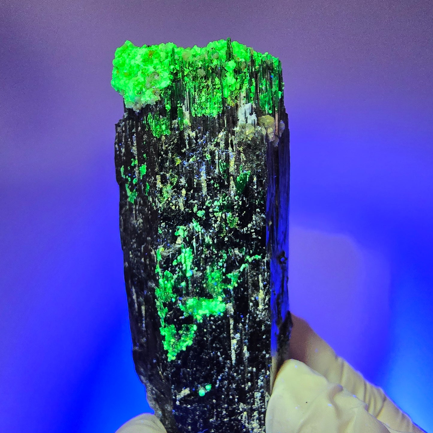 Schorl Tourmaline, Hyalite Opal, Smoky Quartz, Muscovite specimen Erongo, Namibia 85*32*28mm #12369