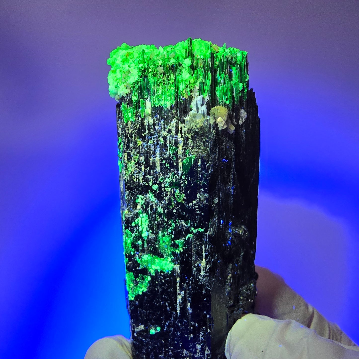 Schorl Tourmaline, Hyalite Opal, Smoky Quartz, Muscovite specimen Erongo, Namibia 85*32*28mm #12369