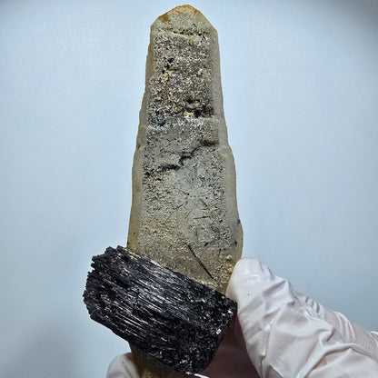 Rare Tourmaline Schorl, Fumé squelette Erongo, Namibie 97*40*31mm #12370
